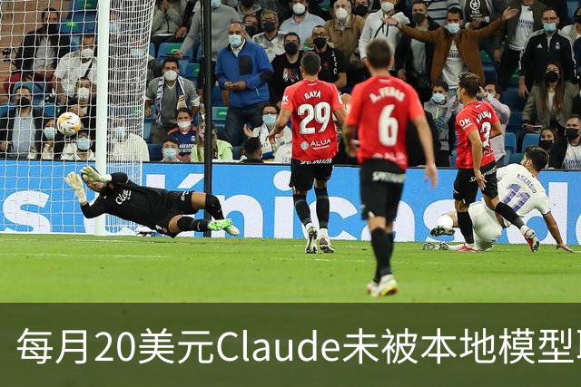 每月20美元Claude未被本地模型取代，被取代的是不敢上云的事